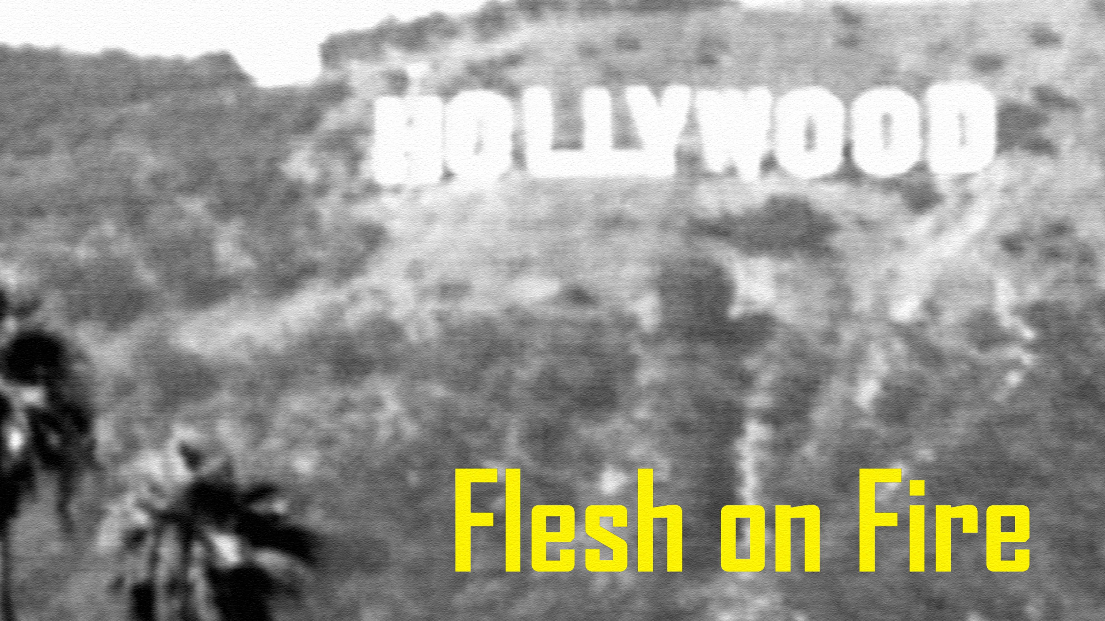 Flesh On Fire poster